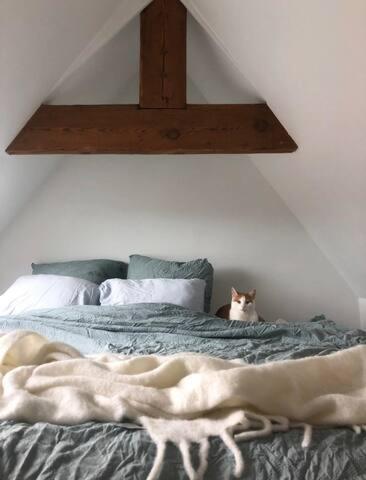 Beautiful Cosy Apartments In The Heart Of Anvers Dış mekan fotoğraf